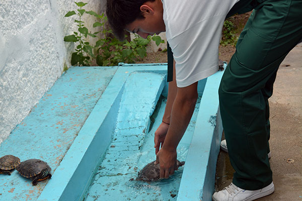 Tratador de Animais em Cativeiro