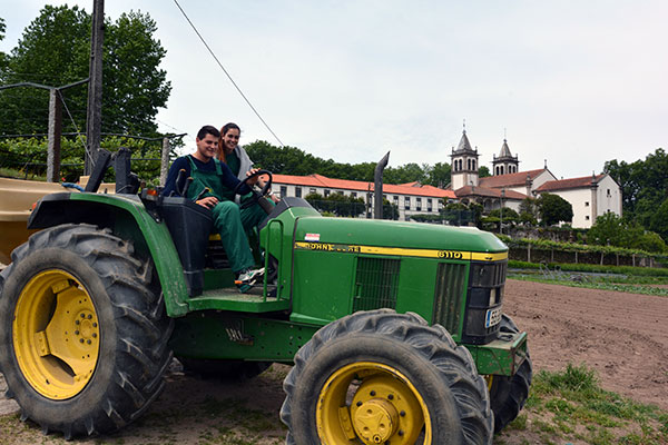 Produção Agropecuária