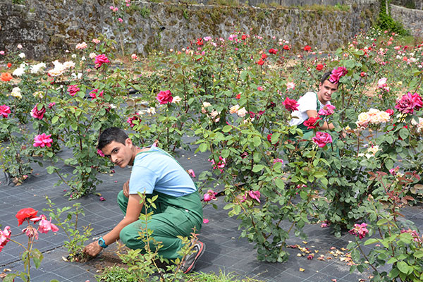 Operador de Jardinagem