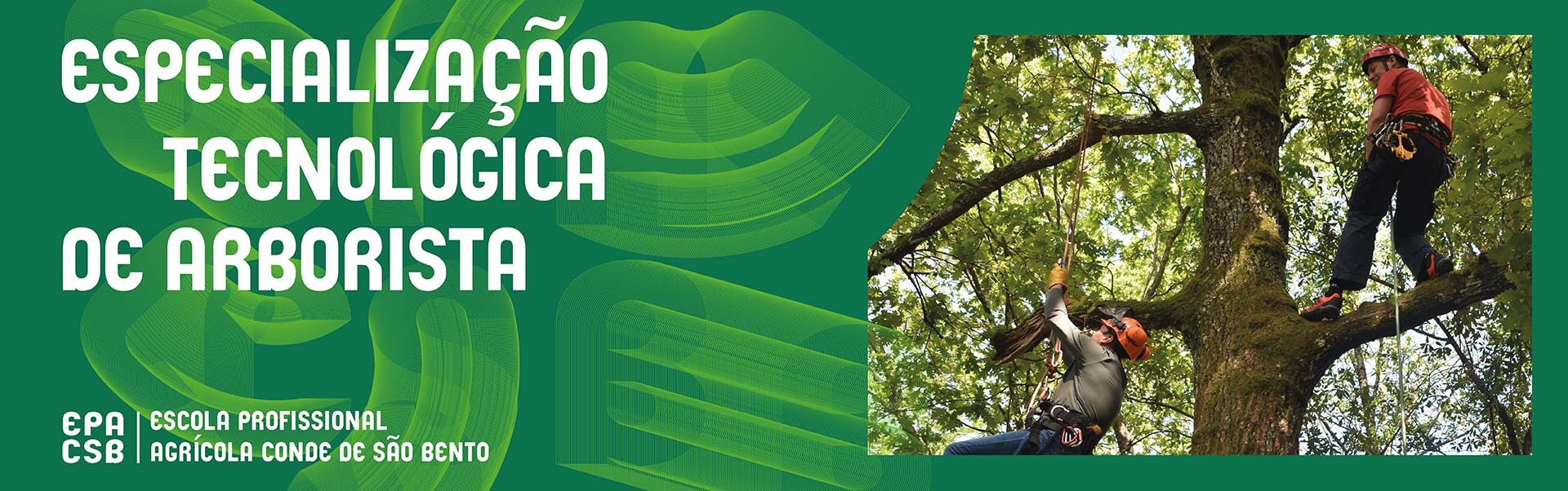Operador(a) de Máquinas Agrícolas