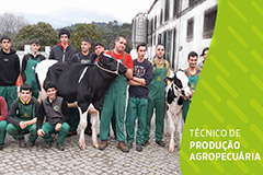 Produção Agropecuária